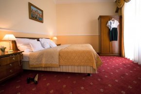 Luxusní apartmán - Detox Hotel Villa Ritter - Karlovy Vary