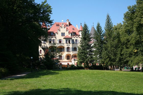 Detox Hotel Villa Ritte - Karlovy Vary