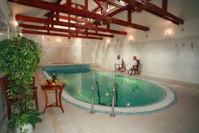 Swimming pool - Detox Hotel Villa Ritter**** - Karlovy Vary